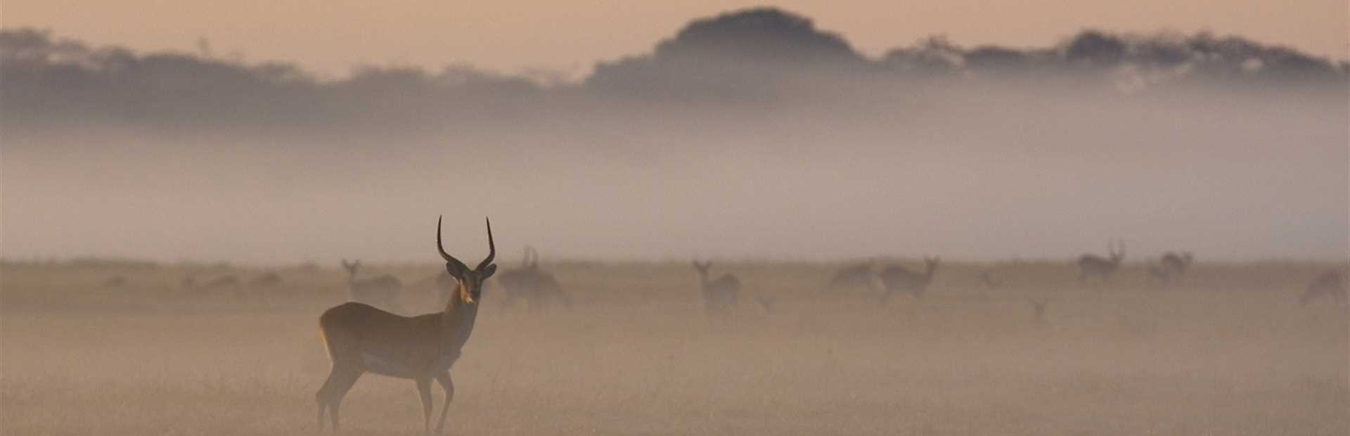 Kafue National Park